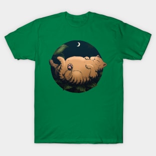 Napping Kitty T-Shirt